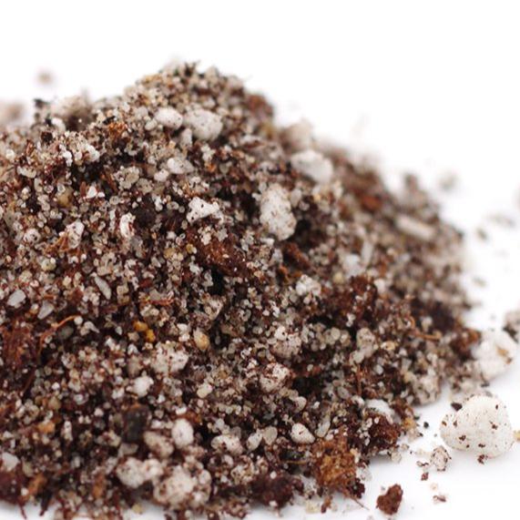 carnivorous plant potting mix Carnivorous Plants Potting Mix Soil