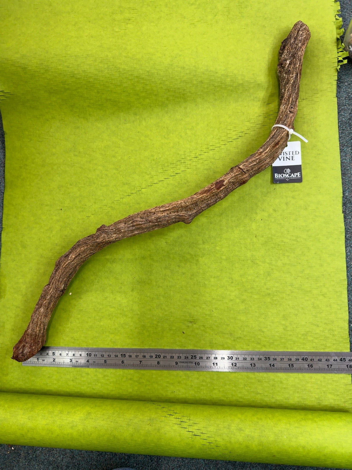 Twisted Vine Photographed Piece