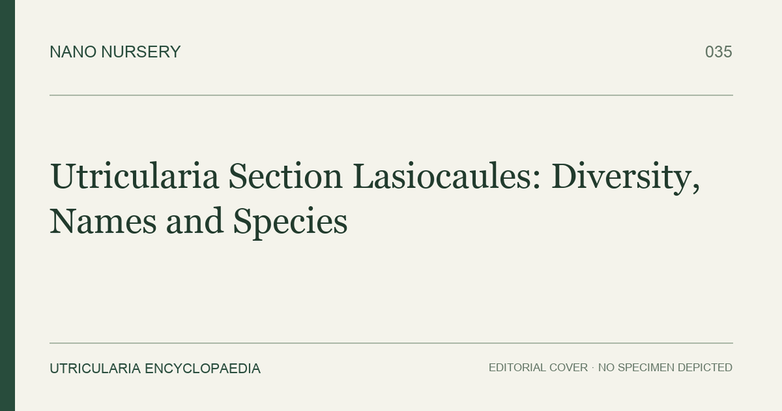 Nano Nursery editorial cover: Utricularia Section Lasiocaules: Diversity, Names and Species. Text only; no plant specimen is depicted.
