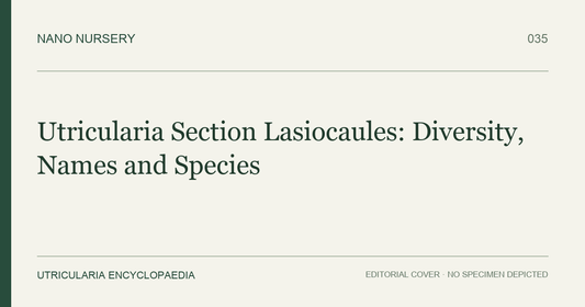 Nano Nursery editorial cover: Utricularia Section Lasiocaules: Diversity, Names and Species. Text only; no plant specimen is depicted.