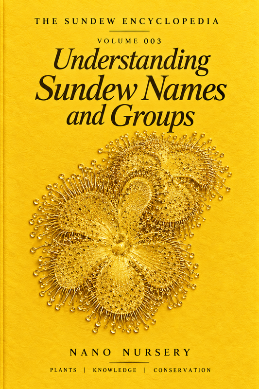 Understanding Sundew Names and Groups