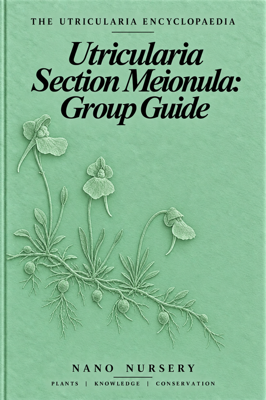 Utricularia terrae-reginae: Species Profile