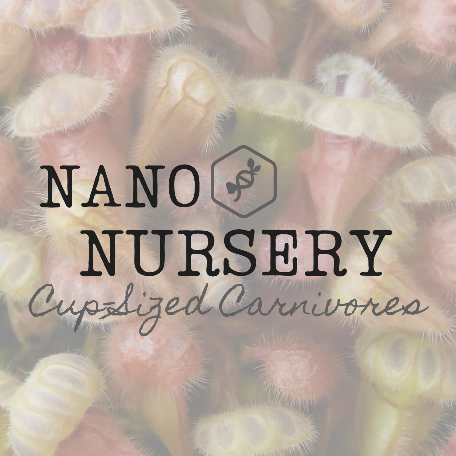 Carnivorous Plant List