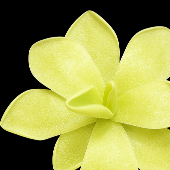 Pinguicula 'Kun Lun' (P. gigantea × P. jaumavensis) (Butterwort)
