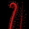 Drosera filiformis var. tracyi ‘Red' (Sundew)