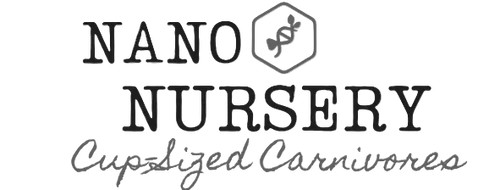 Nano Nursery