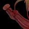 Nepenthes sanguinea