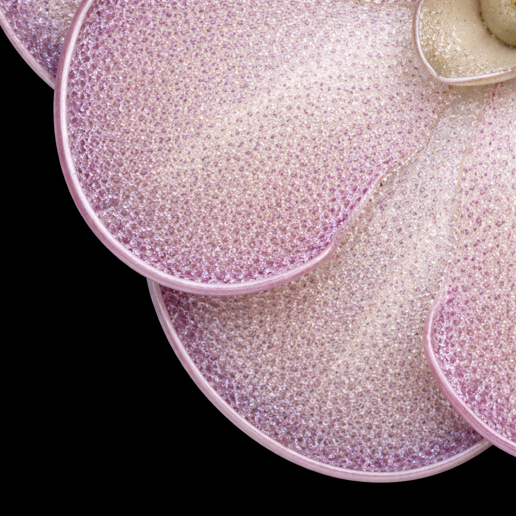 Pinguicula cyclosecta (Butterwort)