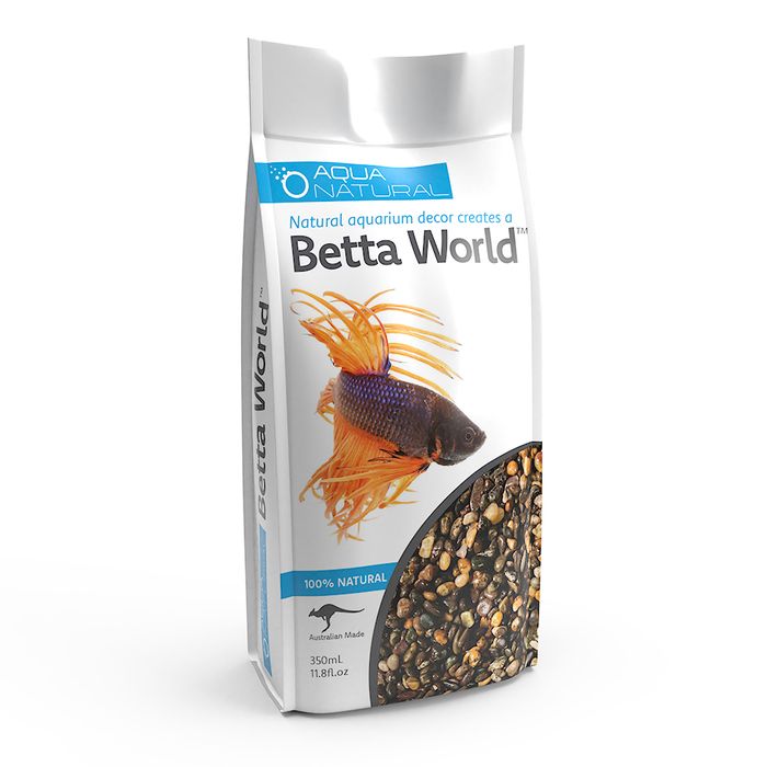 Betta World – Midnight