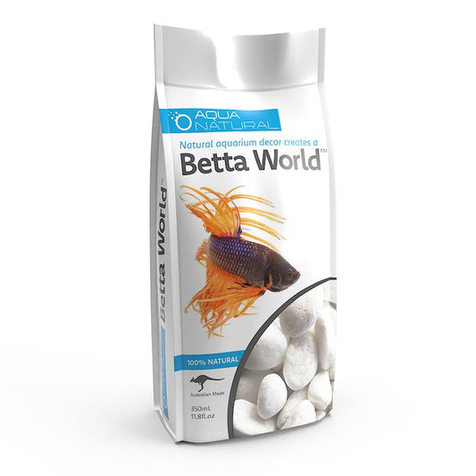 Betta World – Snow White