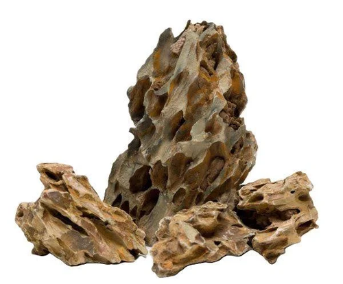 Dragon Stone