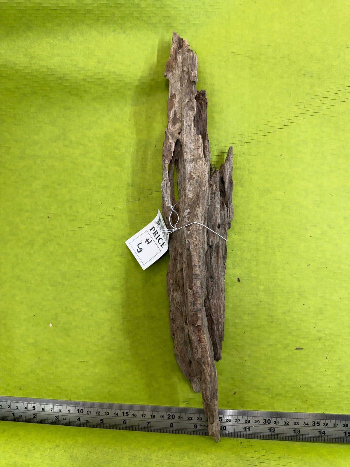Dragon Wood Large H
