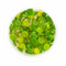 Hydrocotyle Verticillata (Shield Pennywort)
