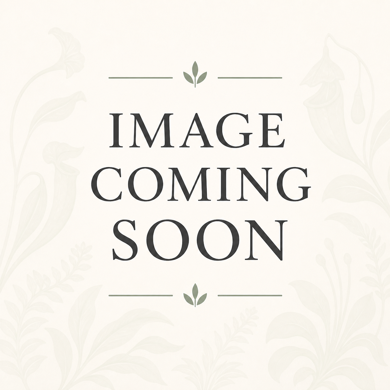 Image coming soon