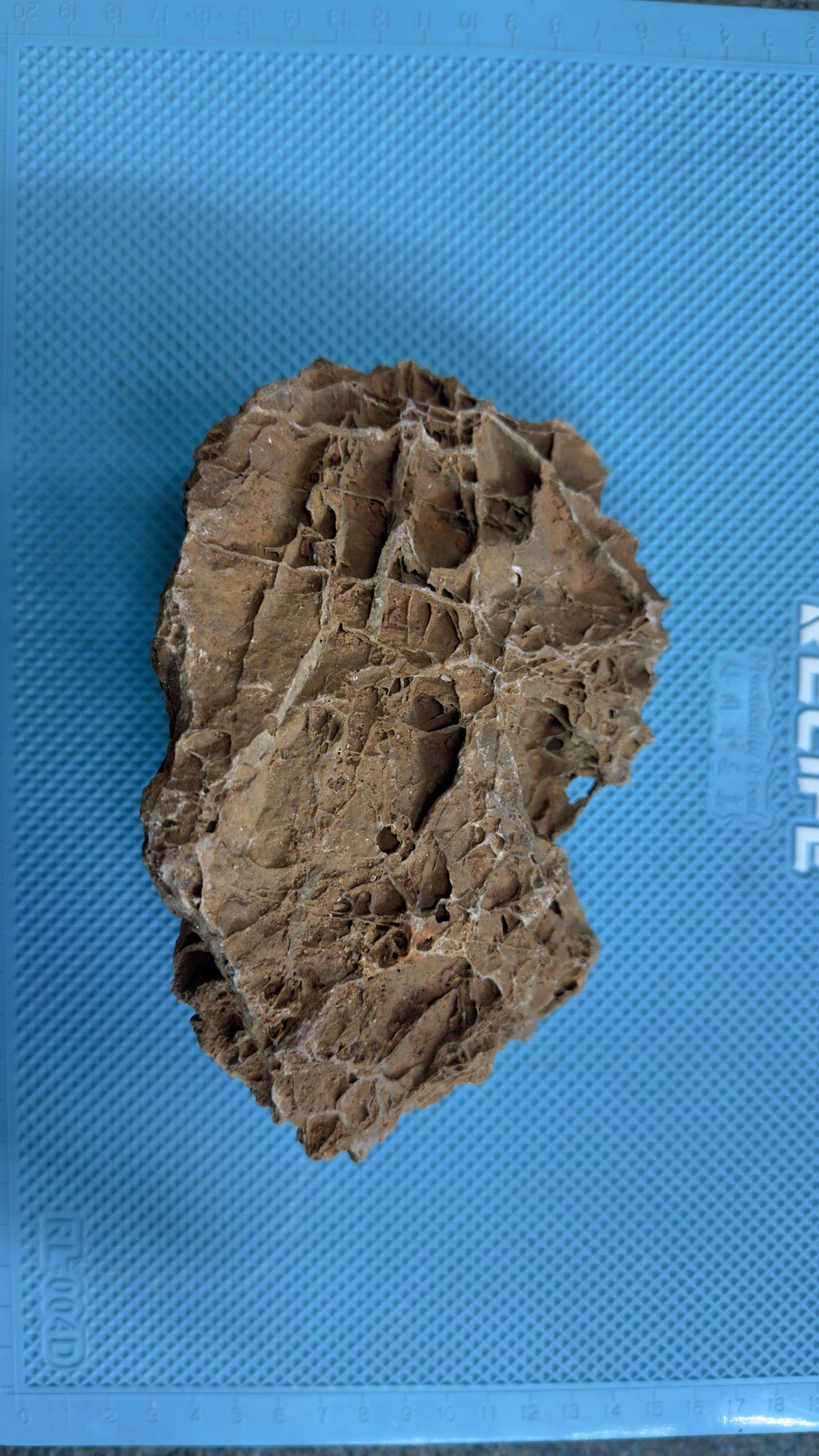 Maple Rock - A (15cm x 10cm), additional view 3