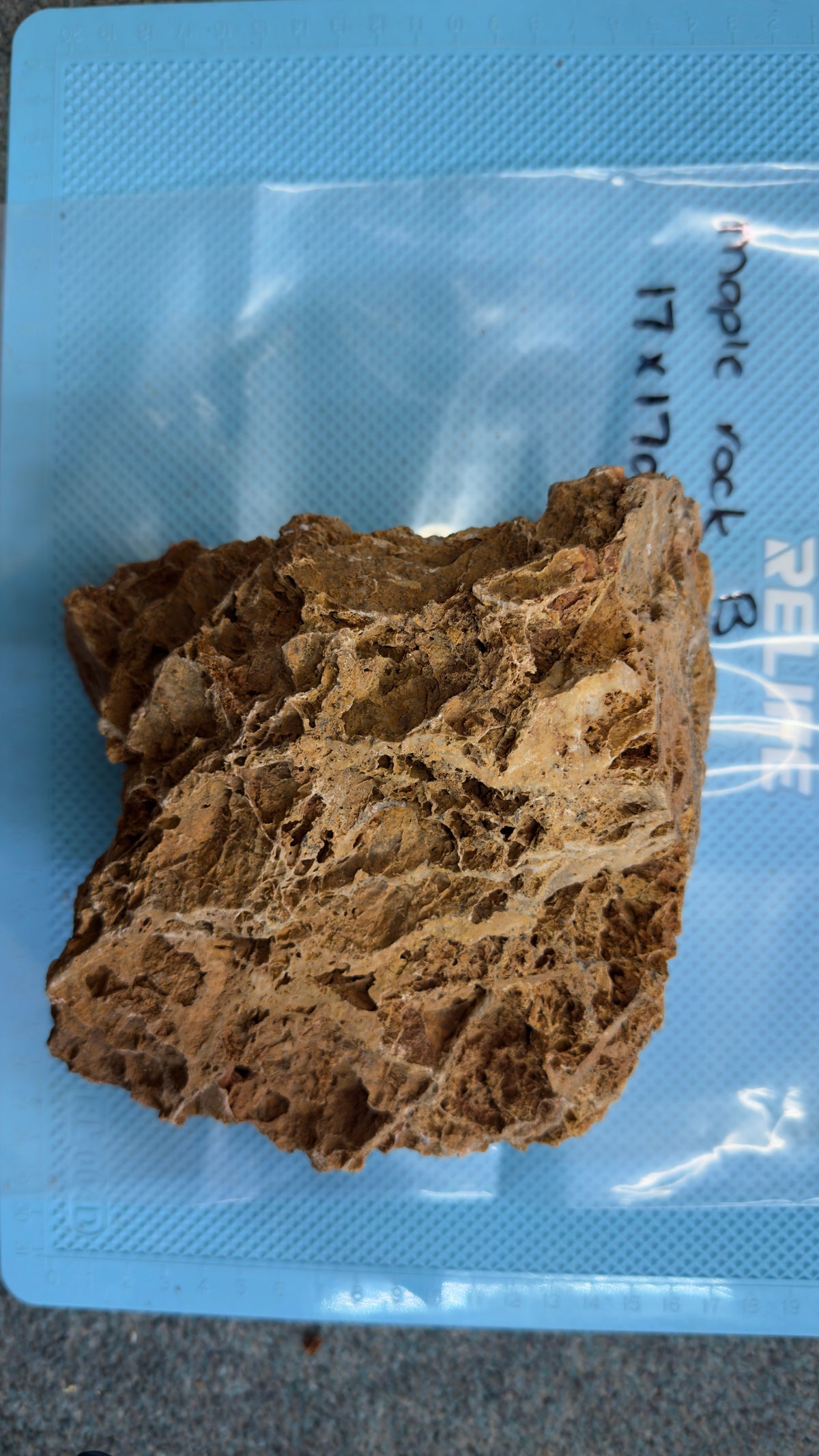 Maple Rock - B, actual photographed piece