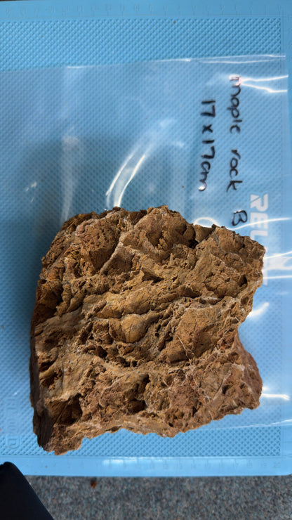 Maple Rock - B (17cm x 17cm), additional view 2