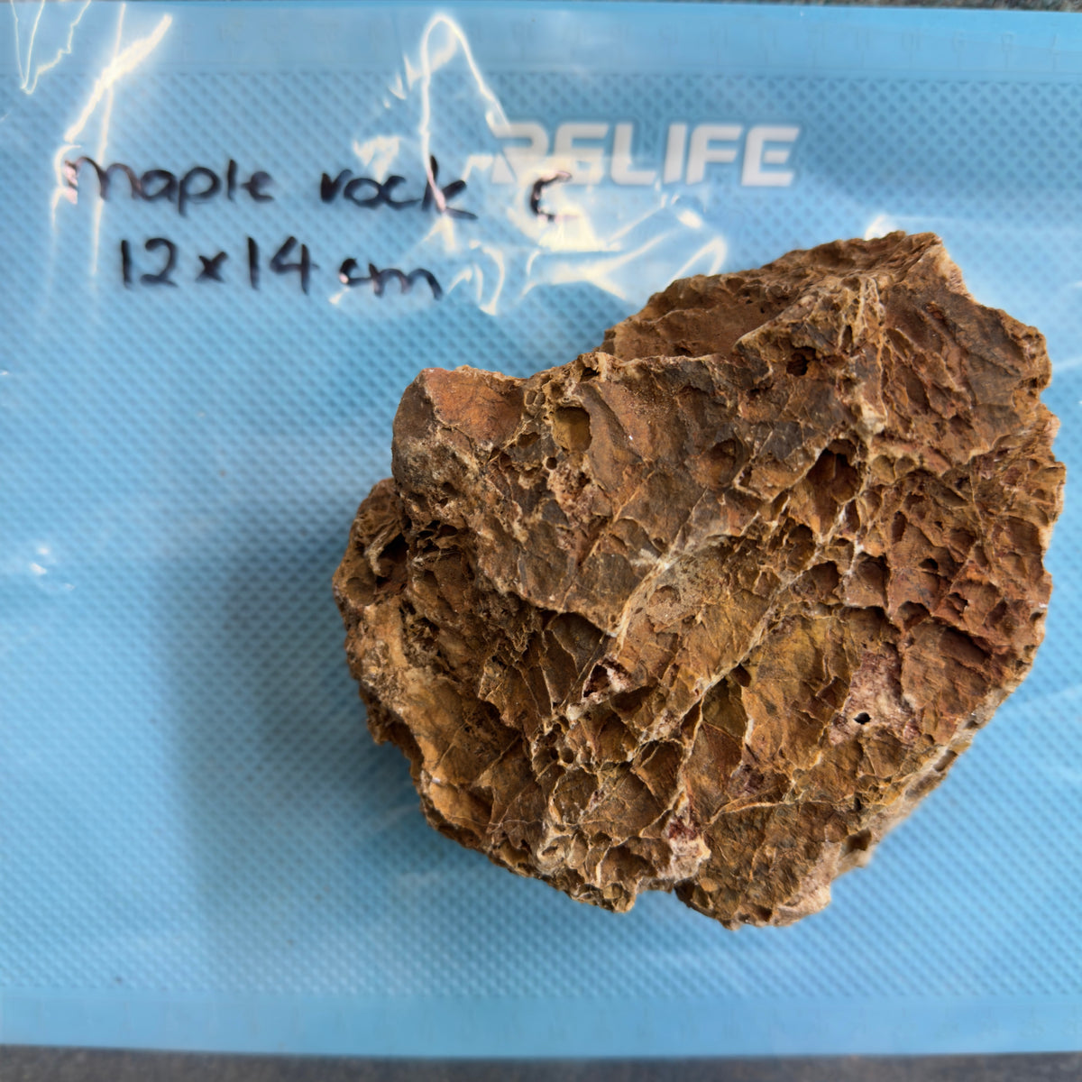 Maple Rock - C, actual photographed piece