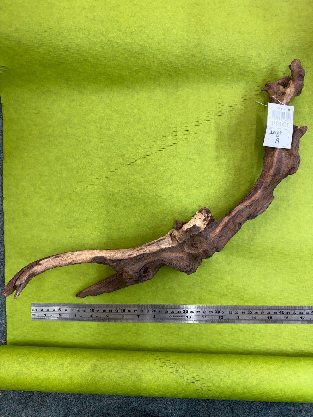 Tectonia Wood Large A