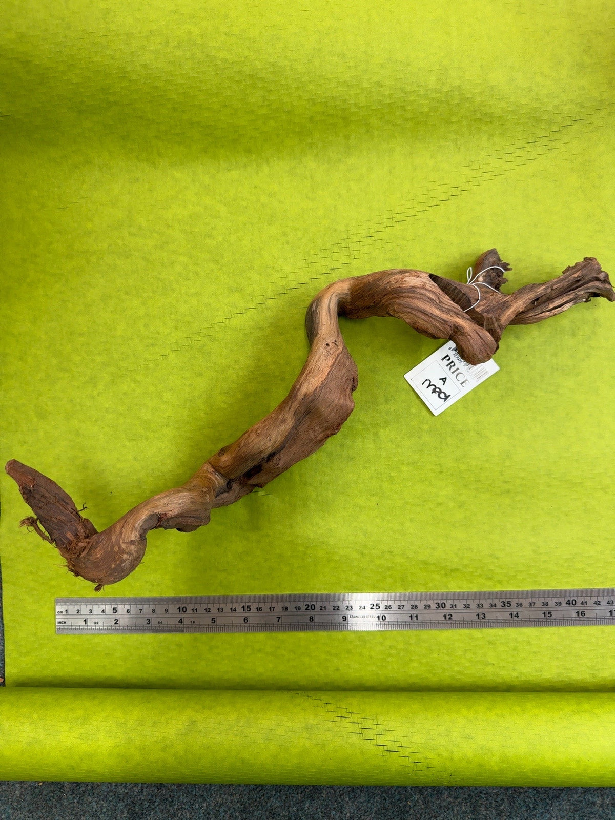 Tectonia Wood Medium A