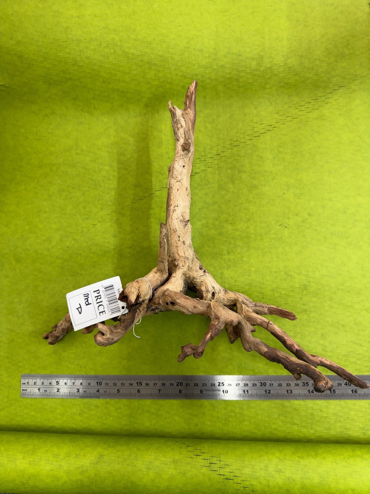 Tectonia Wood Medium D