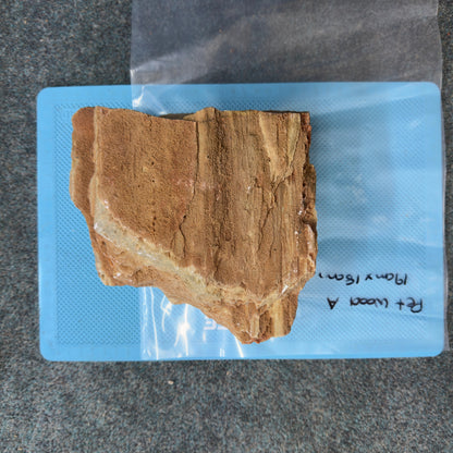 Petrified Wood - A, actual photographed piece